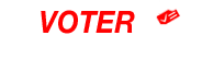 bottom VA logo